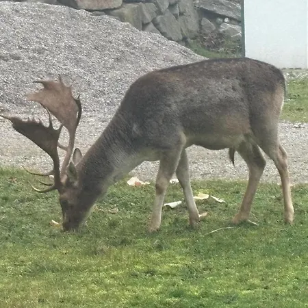 Landidyll Am Bauerhof Apartmán *